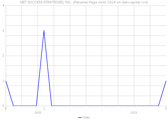 NET SUCCESS STRATEGIES, INC. (Panama) Page visits 2024 