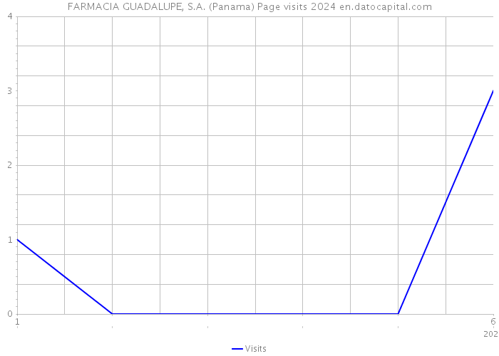 FARMACIA GUADALUPE, S.A. (Panama) Page visits 2024 