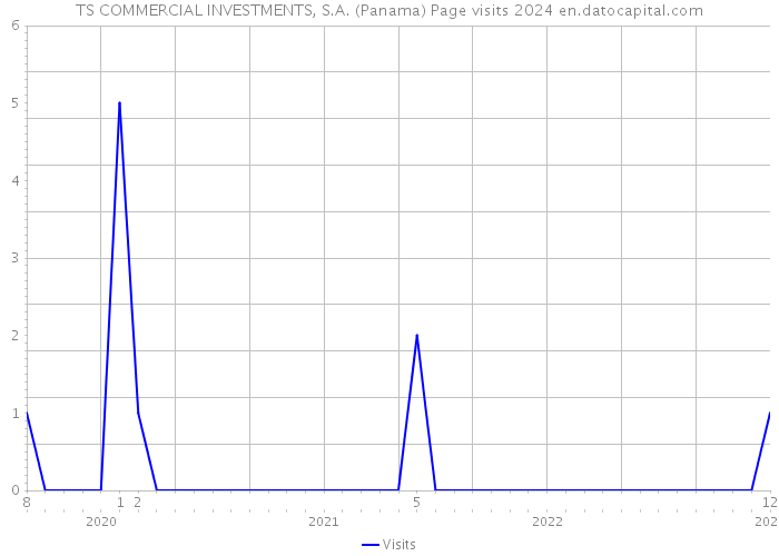 TS COMMERCIAL INVESTMENTS, S.A. (Panama) Page visits 2024 