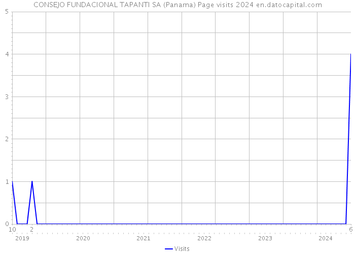 CONSEJO FUNDACIONAL TAPANTI SA (Panama) Page visits 2024 