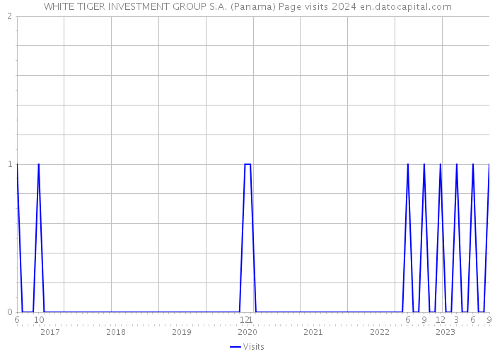 WHITE TIGER INVESTMENT GROUP S.A. (Panama) Page visits 2024 