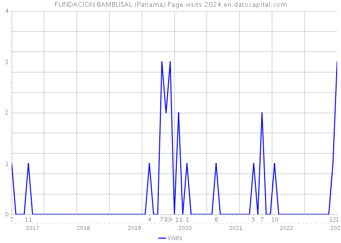 FUNDACION BAMBUSAL (Panama) Page visits 2024 