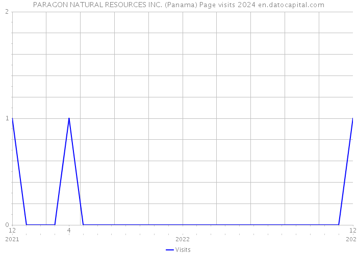 PARAGON NATURAL RESOURCES INC. (Panama) Page visits 2024 