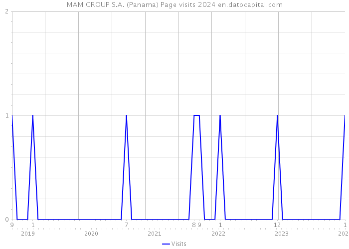 MAM GROUP S.A. (Panama) Page visits 2024 