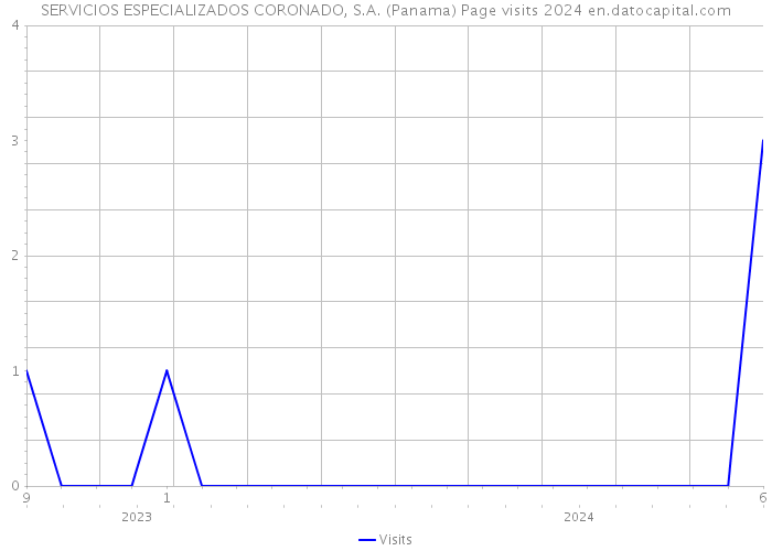 SERVICIOS ESPECIALIZADOS CORONADO, S.A. (Panama) Page visits 2024 