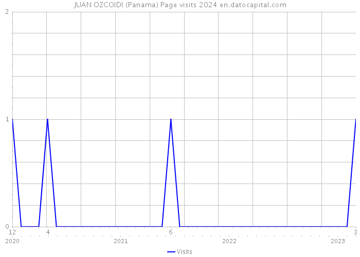JUAN OZCOIDI (Panama) Page visits 2024 