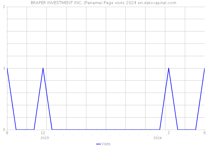 BRAPER INVESTMENT INC. (Panama) Page visits 2024 