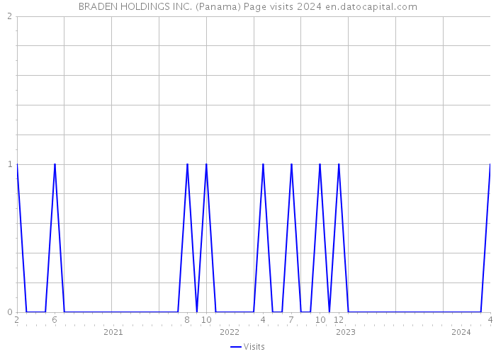 BRADEN HOLDINGS INC. (Panama) Page visits 2024 
