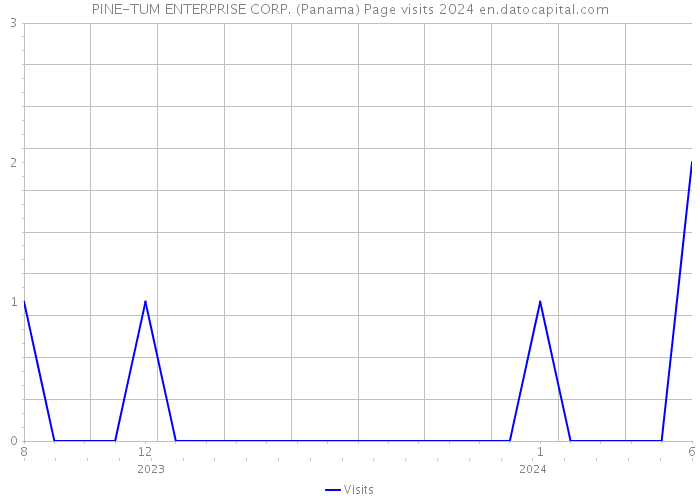 PINE-TUM ENTERPRISE CORP. (Panama) Page visits 2024 