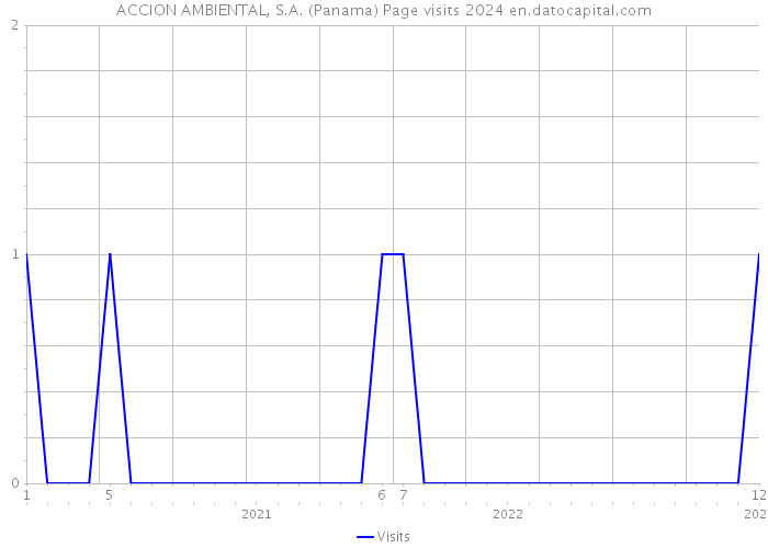 ACCION AMBIENTAL, S.A. (Panama) Page visits 2024 