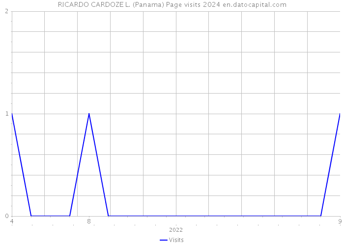 RICARDO CARDOZE L. (Panama) Page visits 2024 