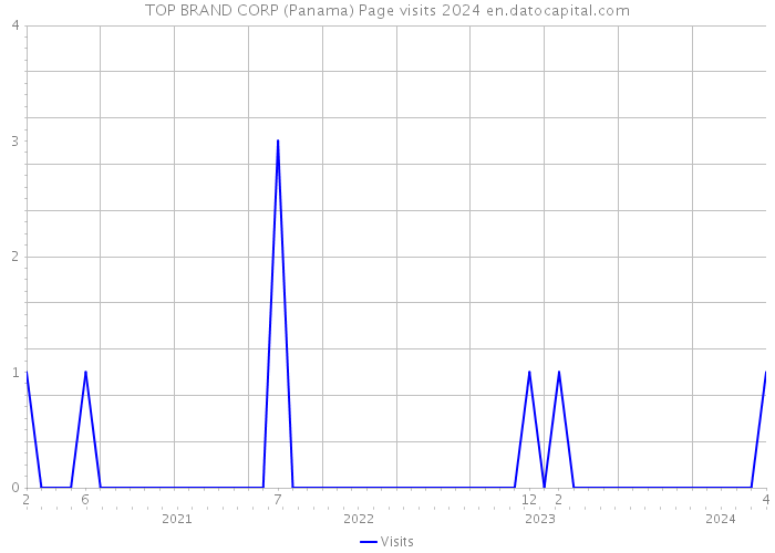 TOP BRAND CORP (Panama) Page visits 2024 