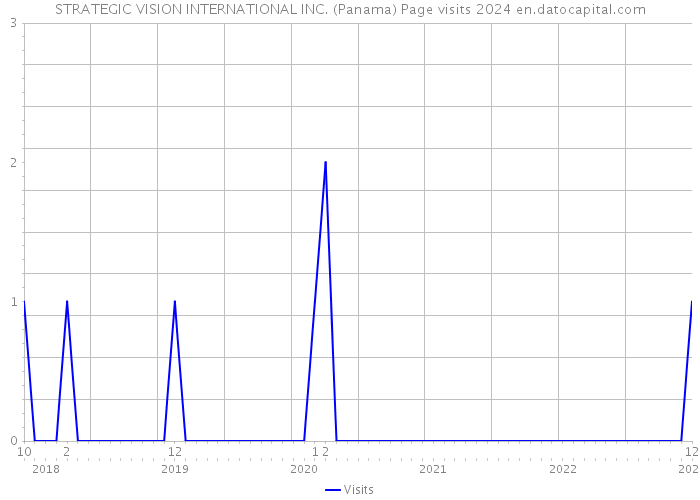 STRATEGIC VISION INTERNATIONAL INC. (Panama) Page visits 2024 