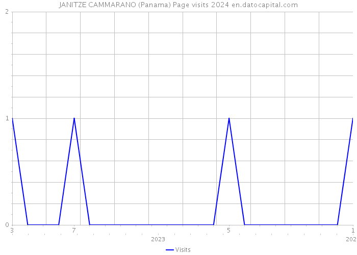 JANITZE CAMMARANO (Panama) Page visits 2024 