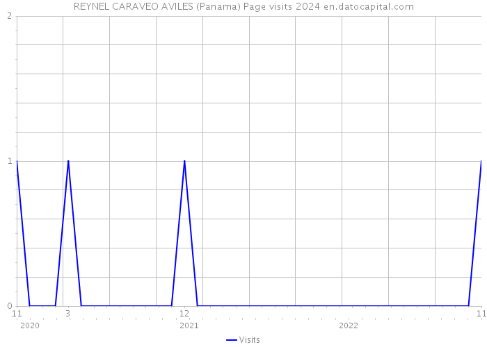 REYNEL CARAVEO AVILES (Panama) Page visits 2024 