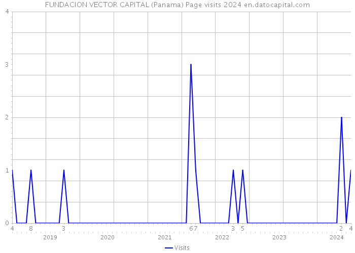 FUNDACION VECTOR CAPITAL (Panama) Page visits 2024 