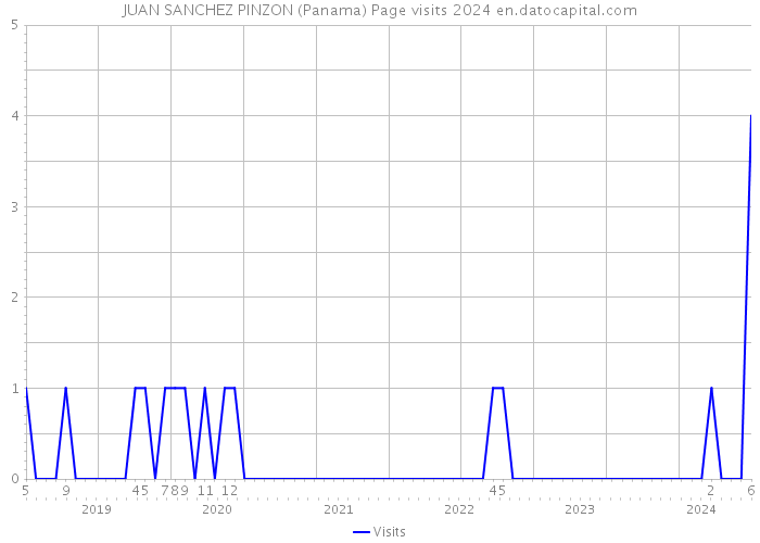 JUAN SANCHEZ PINZON (Panama) Page visits 2024 
