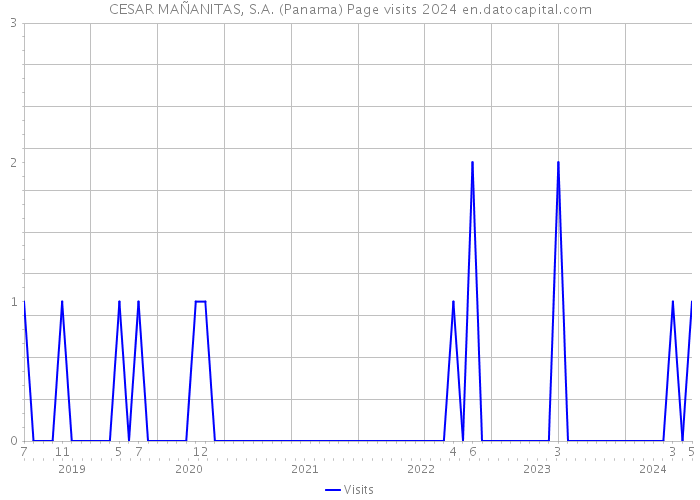 CESAR MAÑANITAS, S.A. (Panama) Page visits 2024 