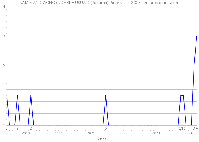 KAM MAND WONG (NOMBRE USUAL) (Panama) Page visits 2024 