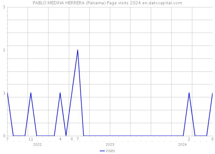 PABLO MEDINA HERRERA (Panama) Page visits 2024 