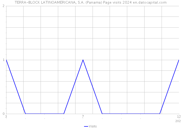 TERRA-BLOCK LATINOAMERICANA, S.A. (Panama) Page visits 2024 