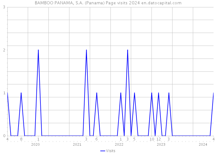 BAMBOO PANAMA, S.A. (Panama) Page visits 2024 