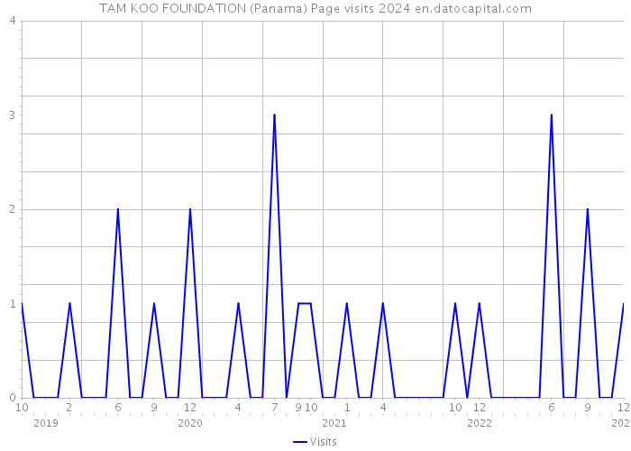 TAM KOO FOUNDATION (Panama) Page visits 2024 