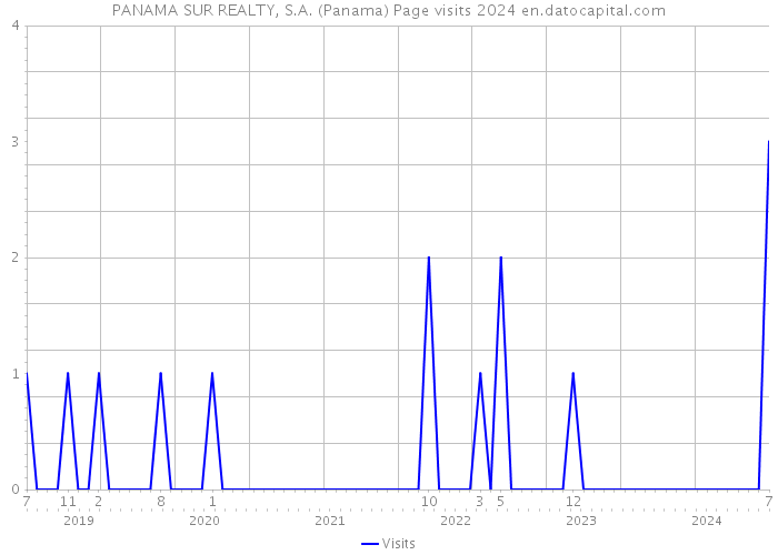 PANAMA SUR REALTY, S.A. (Panama) Page visits 2024 