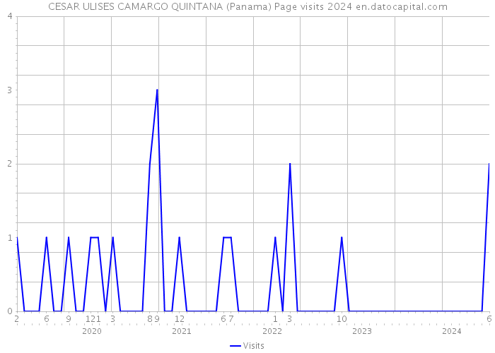 CESAR ULISES CAMARGO QUINTANA (Panama) Page visits 2024 