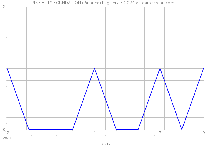 PINE HILLS FOUNDATION (Panama) Page visits 2024 