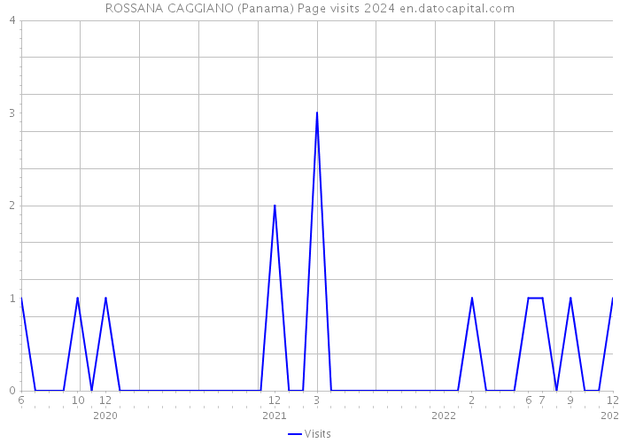 ROSSANA CAGGIANO (Panama) Page visits 2024 