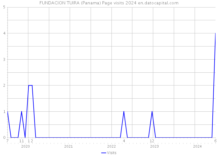 FUNDACION TUIRA (Panama) Page visits 2024 