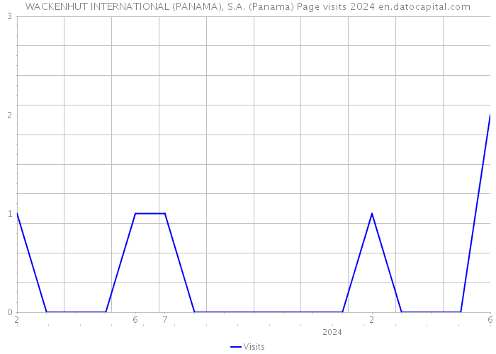 WACKENHUT INTERNATIONAL (PANAMA), S.A. (Panama) Page visits 2024 