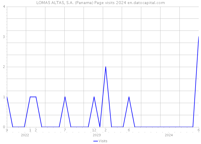 LOMAS ALTAS, S.A. (Panama) Page visits 2024 