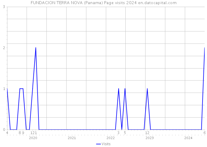 FUNDACION TERRA NOVA (Panama) Page visits 2024 