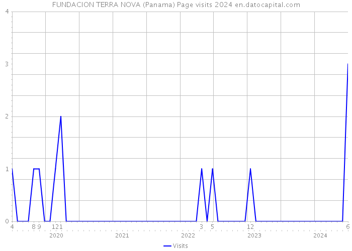 FUNDACION TERRA NOVA (Panama) Page visits 2024 