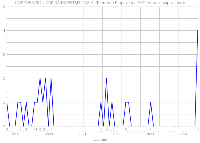 CORPORACION CAPIRA INVESTMENT,S.A. (Panama) Page visits 2024 
