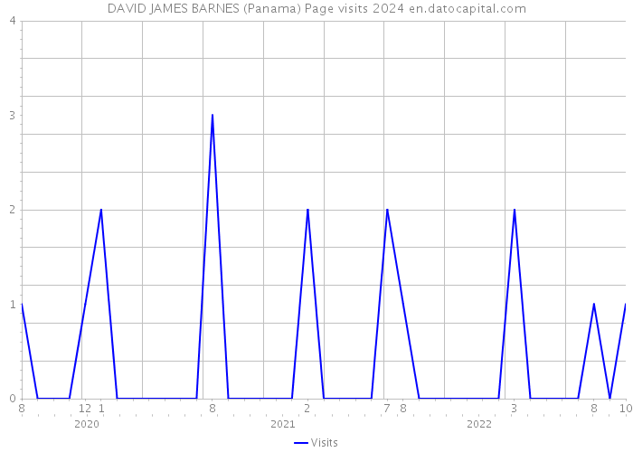 DAVID JAMES BARNES (Panama) Page visits 2024 