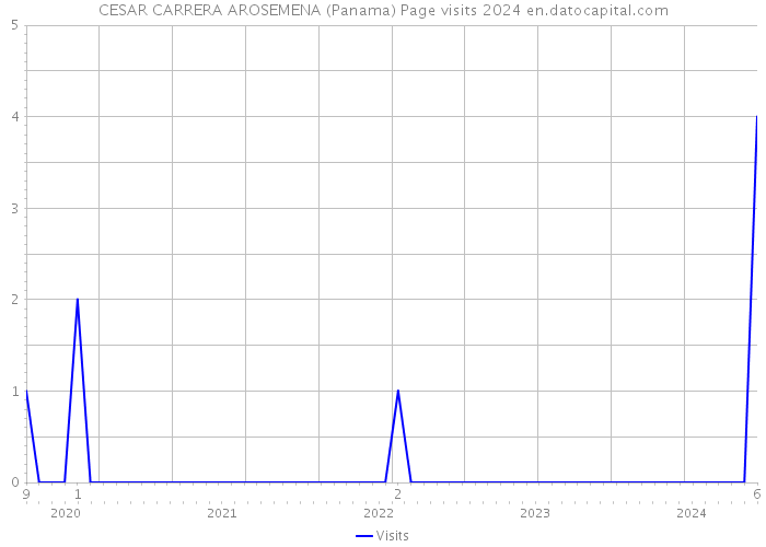 CESAR CARRERA AROSEMENA (Panama) Page visits 2024 