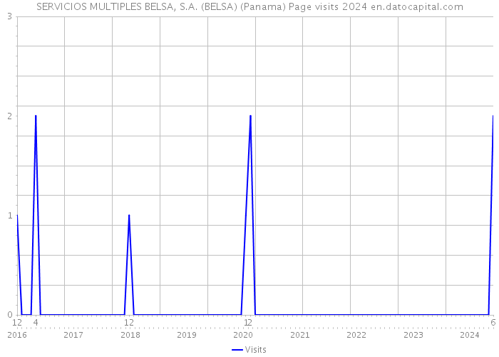 SERVICIOS MULTIPLES BELSA, S.A. (BELSA) (Panama) Page visits 2024 