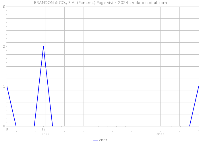 BRANDON & CO., S.A. (Panama) Page visits 2024 