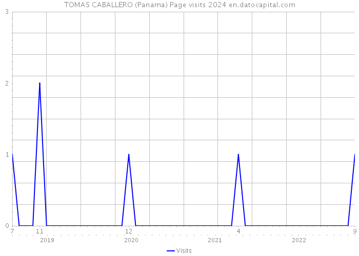 TOMAS CABALLERO (Panama) Page visits 2024 