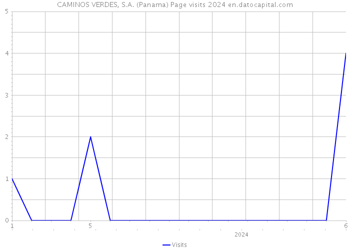 CAMINOS VERDES, S.A. (Panama) Page visits 2024 