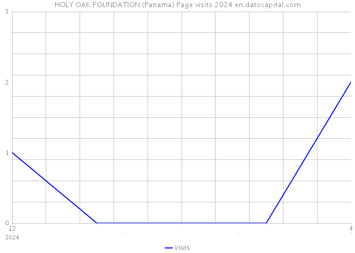 HOLY OAK FOUNDATION (Panama) Page visits 2024 