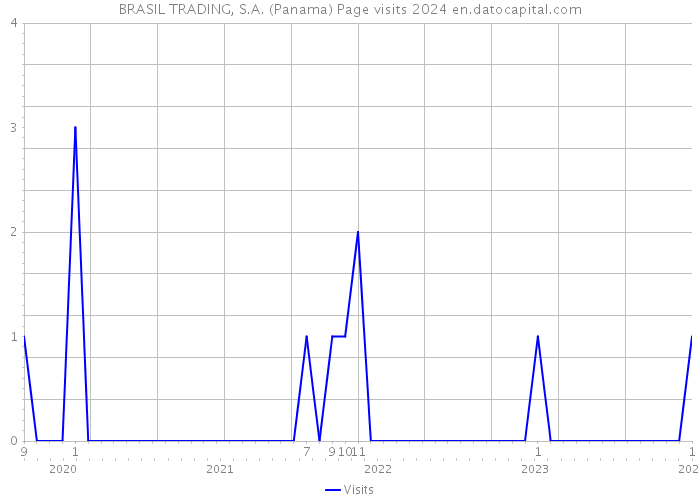 BRASIL TRADING, S.A. (Panama) Page visits 2024 