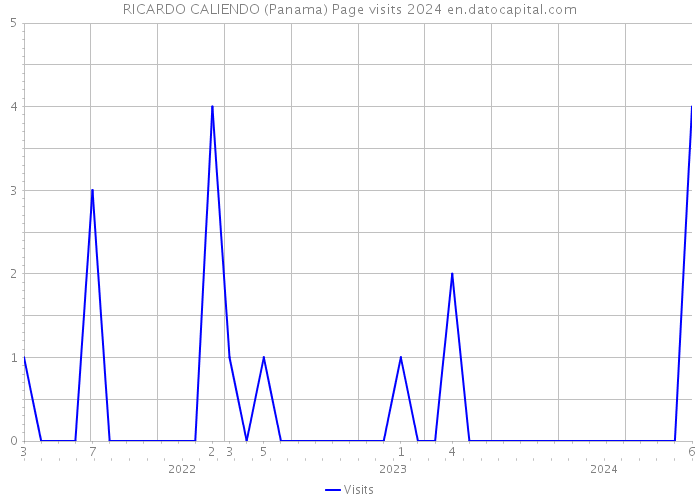 RICARDO CALIENDO (Panama) Page visits 2024 