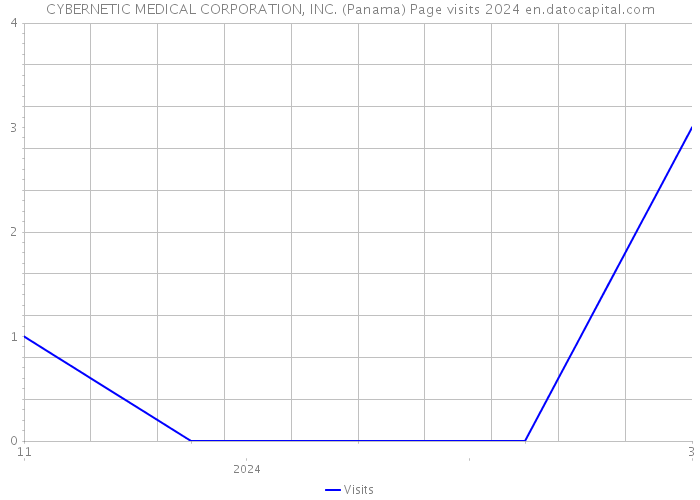CYBERNETIC MEDICAL CORPORATION, INC. (Panama) Page visits 2024 