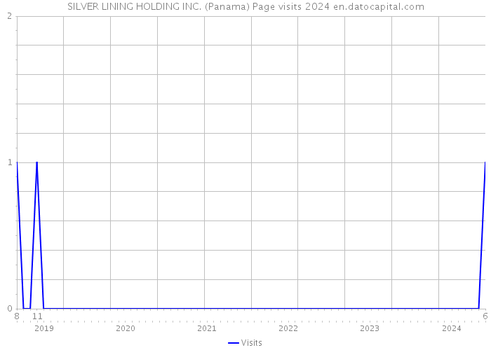 SILVER LINING HOLDING INC. (Panama) Page visits 2024 