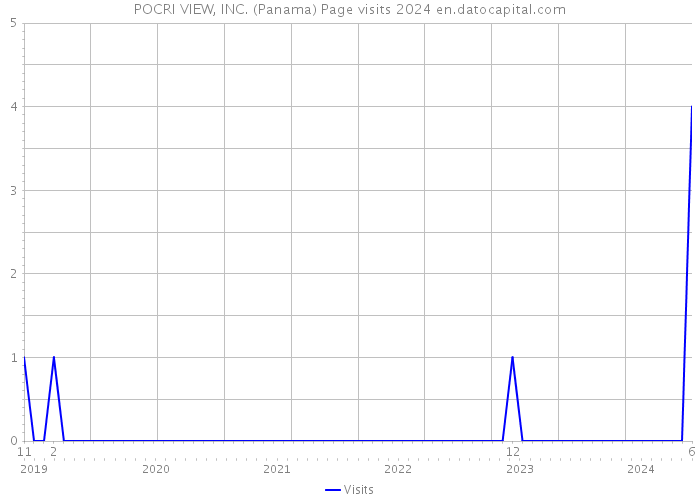 POCRI VIEW, INC. (Panama) Page visits 2024 