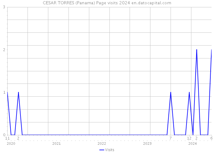 CESAR TORRES (Panama) Page visits 2024 